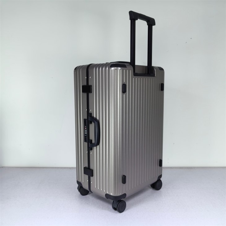 Expensive Trolley Bag best